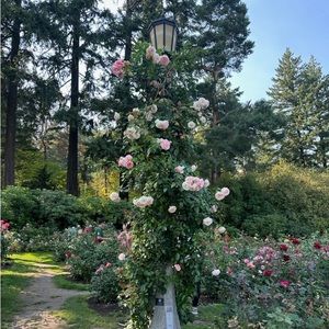 Meet your Posher, Evany